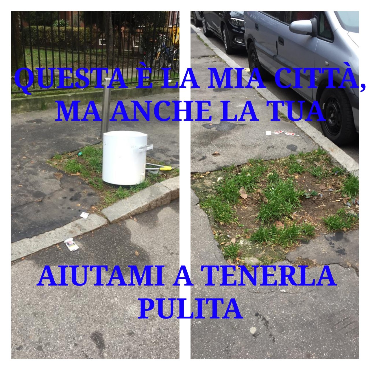 Sesto - Rimossa la Discarica Abusiva in via Timavo
