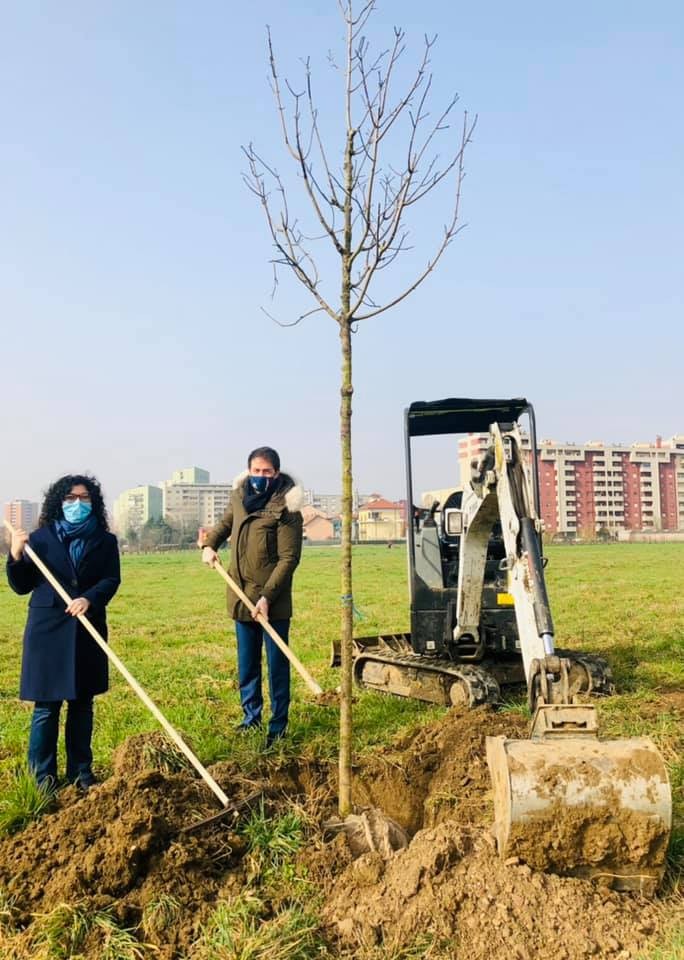 Sesto -  PIANTATI 84 NUOVI ALBERI