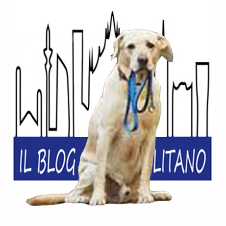 Sesto - PATENTINO PER CANI - LA CONCLUSIONE DEI CORSI
