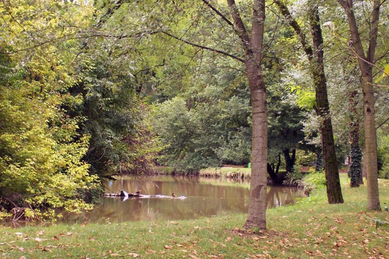 Sesto - PARCO DELLE TORRI, NUOVA CONVENZIONE COMUNE-ALER