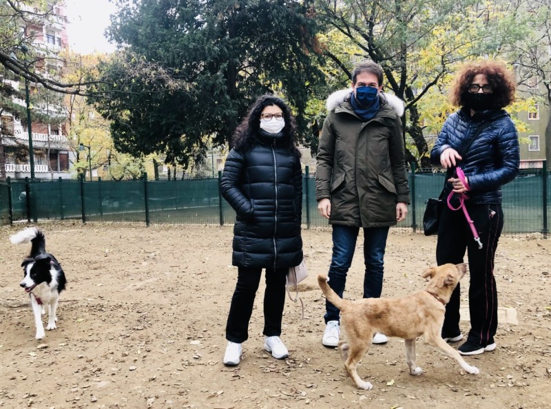 Sesto - DOG SITTER GRATUITO PER FAMIGLIE IN QUARANTENA