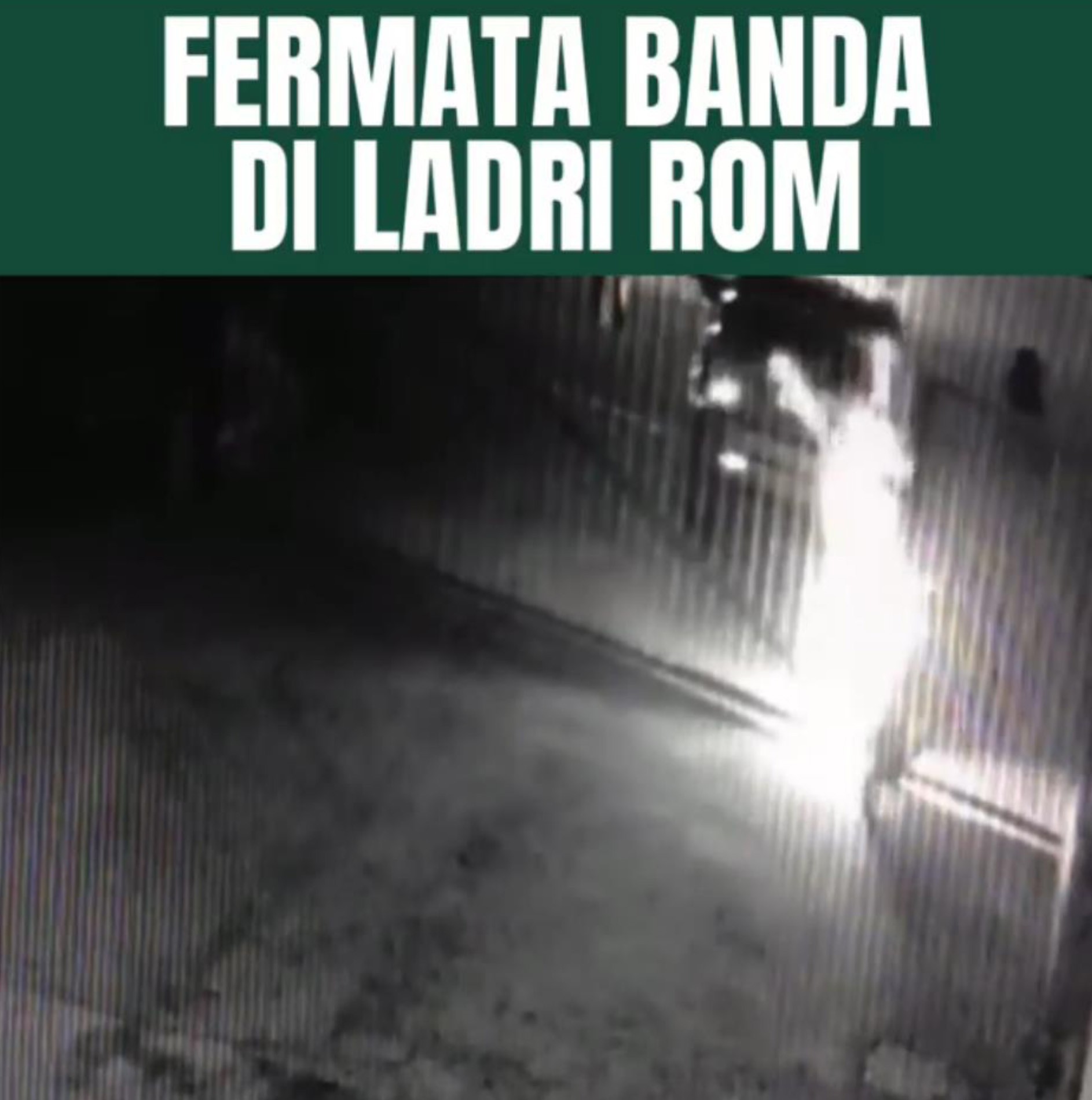 Sesto - POLIZIA LOCALE, BANDA DI LADRI NOMADI 