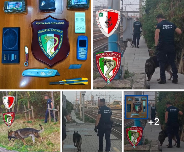PROSEGUE LA LOTTA ALLO SPACCIO A SESTO SAN GIOVANNI: SEQUESTRATI 300 GRAMMI DI HASHISH